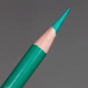 Prismacolor Premier Coloured Pencil - Parrot Green (PC1006)
