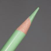 Prismacolor Premier Coloured Pencil - Sap Green Light (PC120)