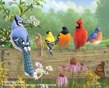Figured'Art Paint By Numbers - Birds on a Fence