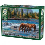 Cobble Hill - 1000 pc. Puzzle - On the Rocks
