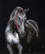 Diamond Dotz - Midnight Stallion