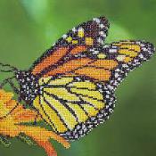 Diamond Dotz - Monarch Butterfly