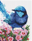 Diamond Dotz - Splendid Fairy Wren (Square Dotz)