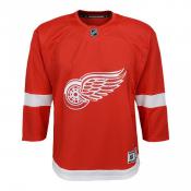 Detroit Red Wings Youth Replica Jersey