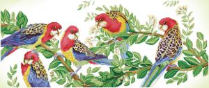 Diamond Dotz - Eastern Rosella Gathering