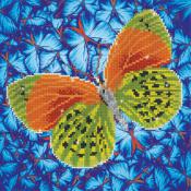 Diamond Dotz - Flutter By Earth