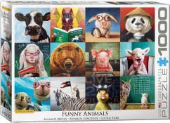 Eurographics - 1000 pc. Puzzle - Funny Animals