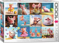 Eurographics - 1000 pc. Puzzle - Funny Pigs