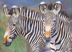 Royal & Langnickel Paint By Numbers - Grevy's Zebra