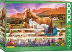 Eurographics - 1000 pc. Puzzle - Horse and Foal