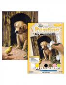 Royal & Langnickel Paint By Numbers - Labrador Puppy