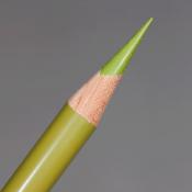Prismacolor Premier Coloured Pencil - Lime Peel (PC1005)