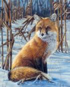 Figured'Art Paint By Numbers - Fox In The Snow