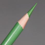 Prismacolor Premier Coloured Pencil - Kelly Green (PC1096)