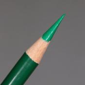 Prismacolor Premier Coloured Pencil - Grass Green (PC909)