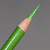 Prismacolor Premier Coloured Pencil - Apple Green (PC912)