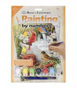 Royal & Langnickel Paint By Numbers - Garden Birds