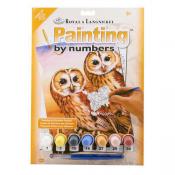 Royal & Langnickel Paint By Numbers - Tawny Owls