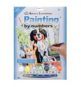 Royal & Langnickel Paint By Numbers - Family Pets