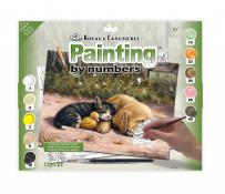 Royal & Langnickel Paint By Numbers - Sleepy Day