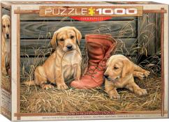 Eurographics - 1000 pc. Puzzle - Something Old, Something New