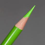Prismacolor Premier Coloured Pencil - Spring Green (PC913)