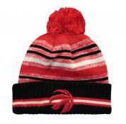 Toronto Raptors Sport Knit Toque